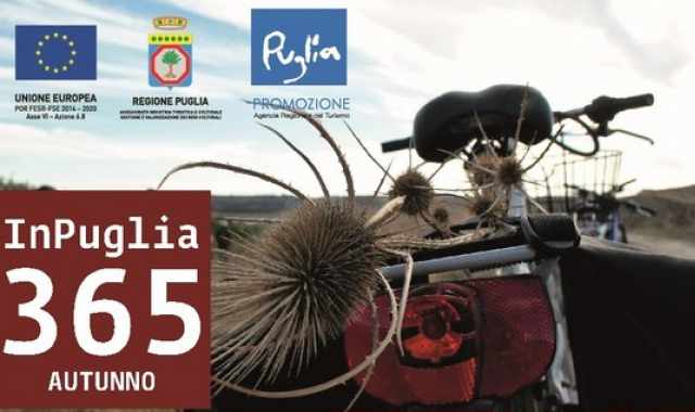 Town bike town: escursioni in bicicletta alla scoperta della Murgia